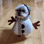 말랐는데 <b>투</b><b>턱</b>인 사람은 무ㅜ임?