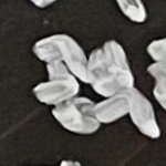 [NCT칠프] <b>퀴즈쇼</b>