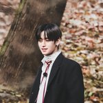 더보이즈 <b>주연</b>