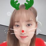 [모두드루와] <b>위키</b>미키 세이 크리스마스에 진심인 것 같아서 너무...