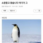 오늘 정시<b>상담</b>받는데 눈참챌함