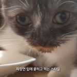 너네 수능에서 점수 오름..?