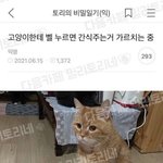 대학생들은 알바하면서 <b>용돈</b> 안 받아?