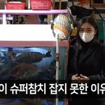 [방탄소년단] (전문가가 본)석진이가 슈퍼<b>참치</b>를 잡지못한이유1