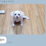 [드루와] <b>유대</b>종 김승리 둘 다 들어본 사람ㅜㅜ