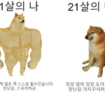 [드루와] 나 진짜 <b>MBTI</b> 때문에 짜증나 뒤지겠음