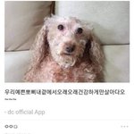 [드루와] 웃긴 짤 <b>풀자</b>
