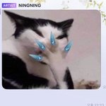 <b>닝닝</b> 버블 이거 개웃김