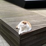 방금 잠깐 여신강림 드라마 봤는데
