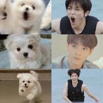 [NCT칠프] 아 귀여워 ㅋㅋㅋㅋㅋ