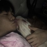 [드루와] 수시 <b>추합</b> 이대로 끝인건가..