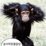 추합더럽게<b>안도</b>네