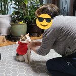 03들아 니네 3일뒤에 탈 10대판할거야?