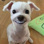 [19] 고3인데 이거 어떰