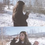 햄버거 개맛없다