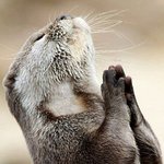 [NCT칠프] 스걸파 보고 건너 온 타팬인데유