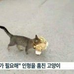 [댓글부탁해] 상상하는 법 아는 사람 있니?