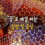 [50대] 꿀로 해결 하는 질병 및 증상