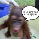 [댓글부탁해] 내주변애들이 나 손<b>민수</b>함
