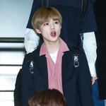 [NCT드림] <b>아기멍게</b>