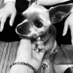 [NCT칠프] 정작 정우가 <b>타인</b>에게 귀엽다고 말 할 때마다 이상해