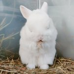 [댓글부탁해] 하루에 닭<b>쏘</b> 두개먹고 두시간걸으면