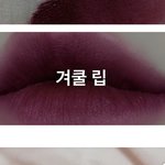 이런 <b>겨쿨립</b> 추천 좀 해줘ㅠㅠㅠ