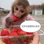 너넨 성격/외모 뭐를더 <b>중시</b>함