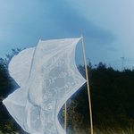 [엔하이픈] <b>No</b>랑 yet 중에 뭐가 메인일까