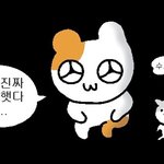 [드루와] <b>카디</b>비 내한했음 좋겠다
