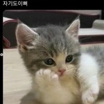<b>최우식</b> 개좋아