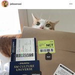 [NCT칠프] 요<b>일바</b>님 부럽다
