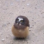 [19] <b>배드</b>씬찍는 배우들