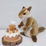 [펜타곤] ㅅㄷ) 다람쥐케이크캔들 후기 ㅎㅁㅎ