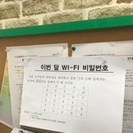 장원영에서 이젠 프리지아