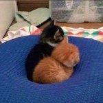 <b>여름</b>에 엄청 들었던 <b>노래</b> 다시 들으니까
