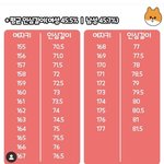 다리 <b>길이</b> 평균인데 다리 짧아보이는건 뭘까
