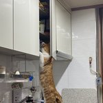 [댓글부탁해] 나 내가 갈 대학교가 너무 기대돼!!!!!!