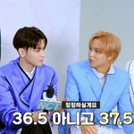 [NCT칠프] 36.5도는