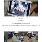 맥도날드 맥너겟 괴담에 대한 진실