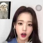 이거 토끼<b>상임</b>?