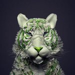 자연에 대한 <b>존중</b>을 담은 예술