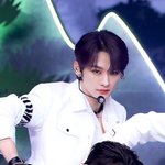 호랑이 <b>리노</b> 존잘