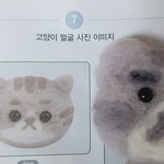 [댓글부탁해] 내가 한 고양이 <b>양모</b>펠트 봐주라