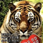 [댓글부탁해] 이런 <b>새해</b> 짤 있음???