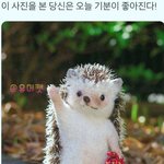 [NCT드림] 준표들아 <b>새해복</b>많이받아라~~~