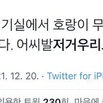 호랑이 하면 이거밖에 생각<b>안</b><b>남</b>