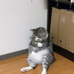 <b>스카</b> 문 열라나 오늘?