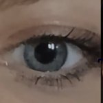 얘들아 이런 렌즈 비슷한 거 있을까……