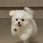 <b>디</b><b>패</b> ㅋㅋ